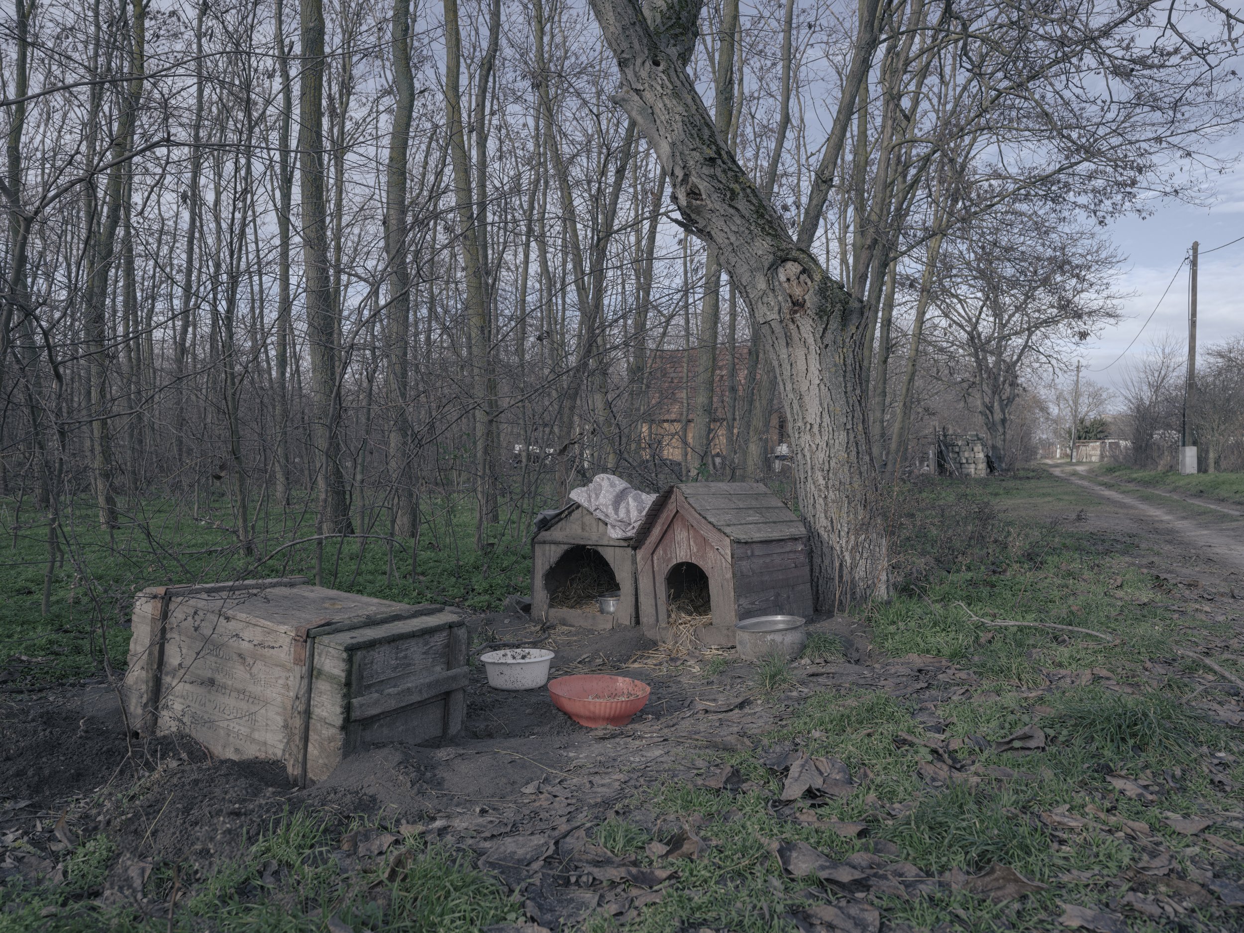 with_greed_comes_torture_marcbasan-30.jpg