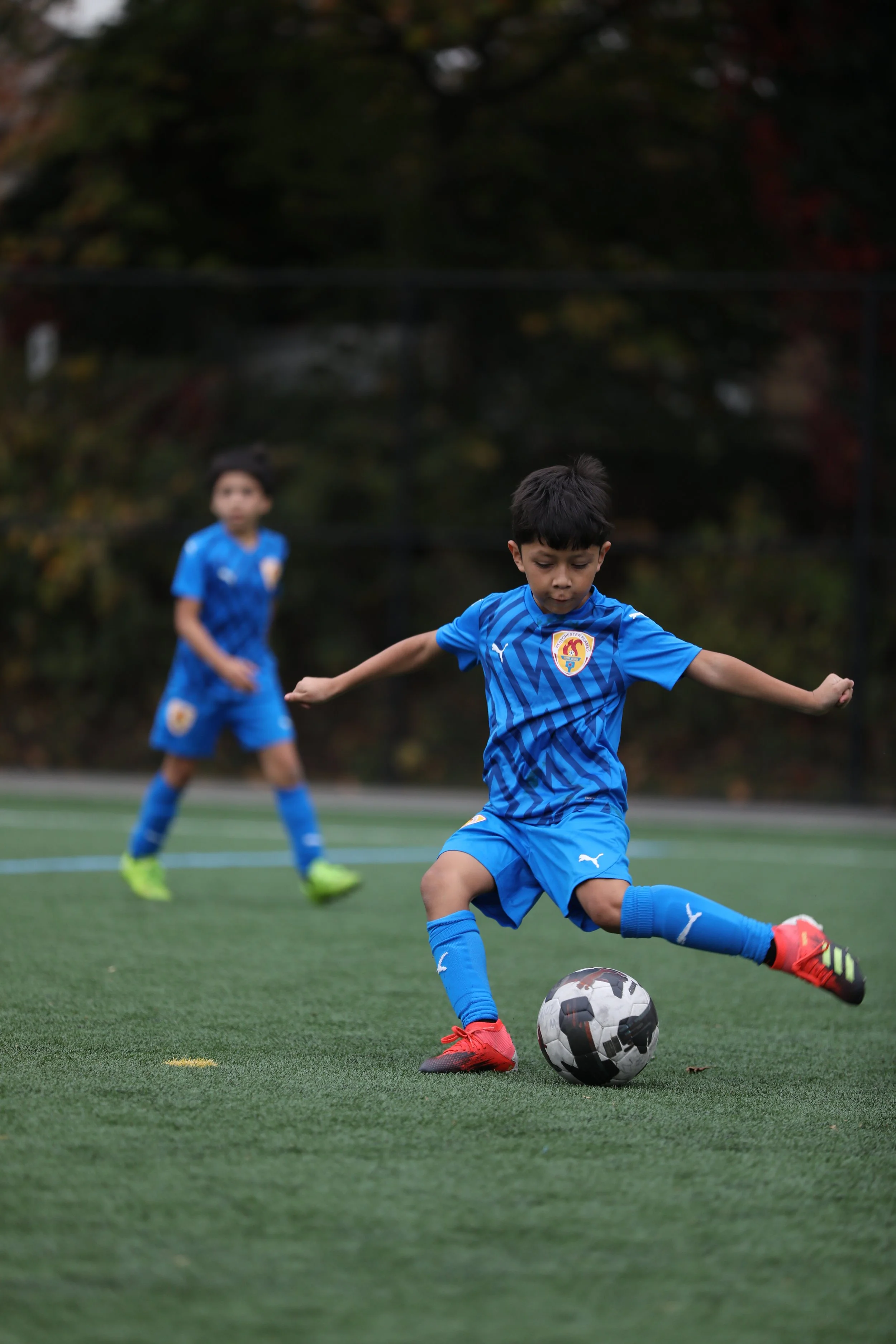 PortraitModes.com by Silvana DeFrancis 457A3907.JPG