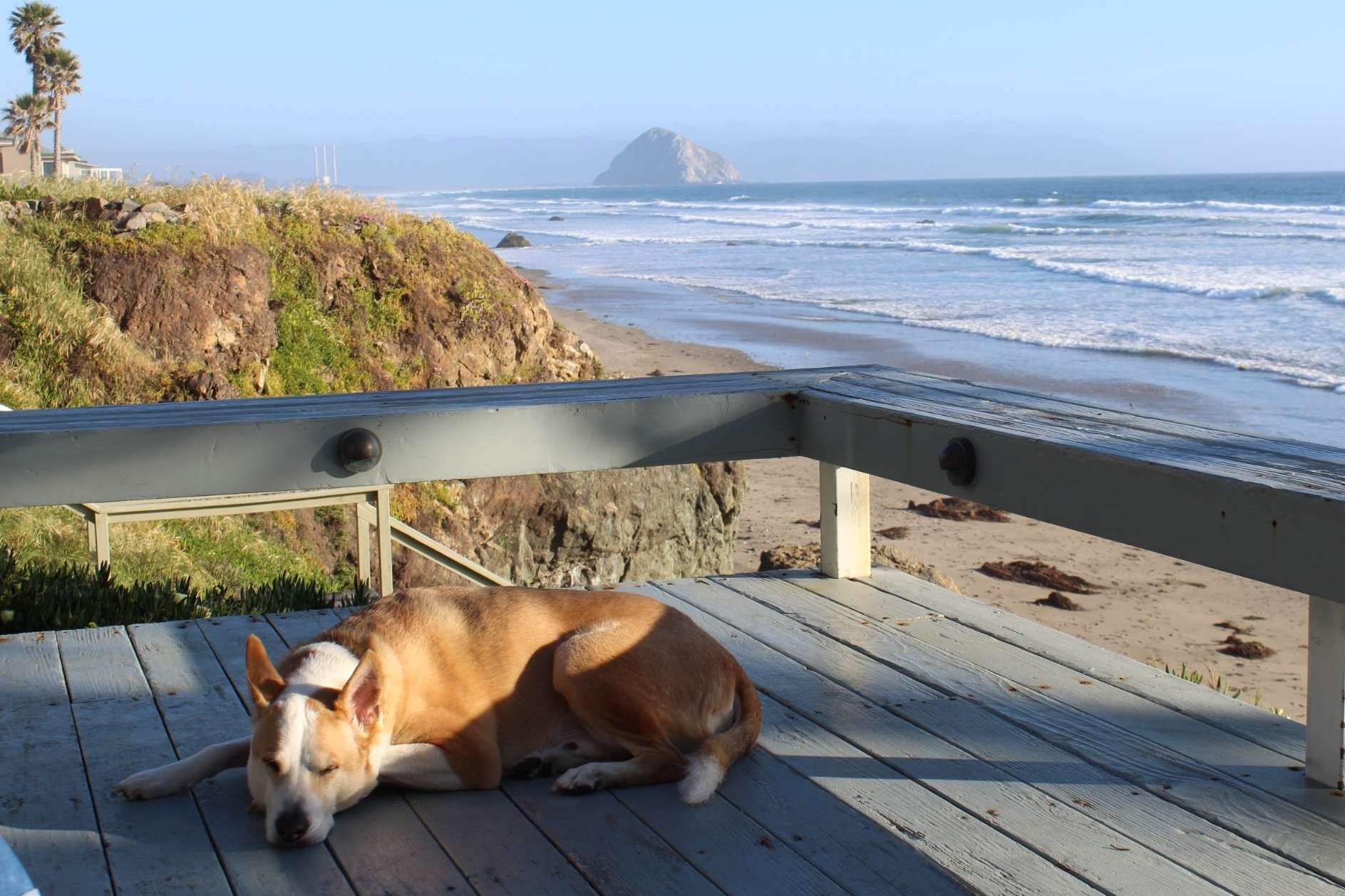 Napping in Cayucos