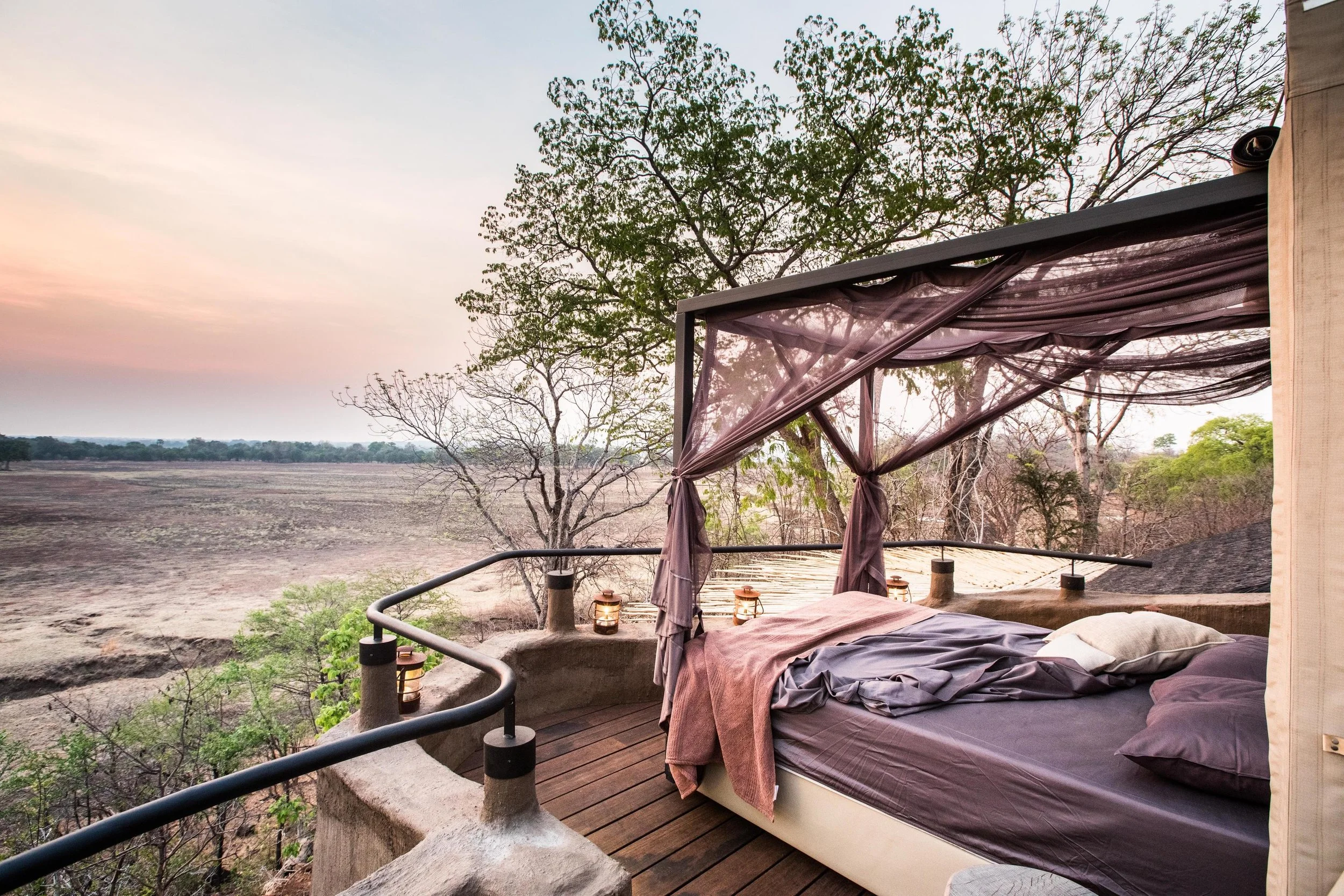 Puku Ridge Starbed in the morning.jpg