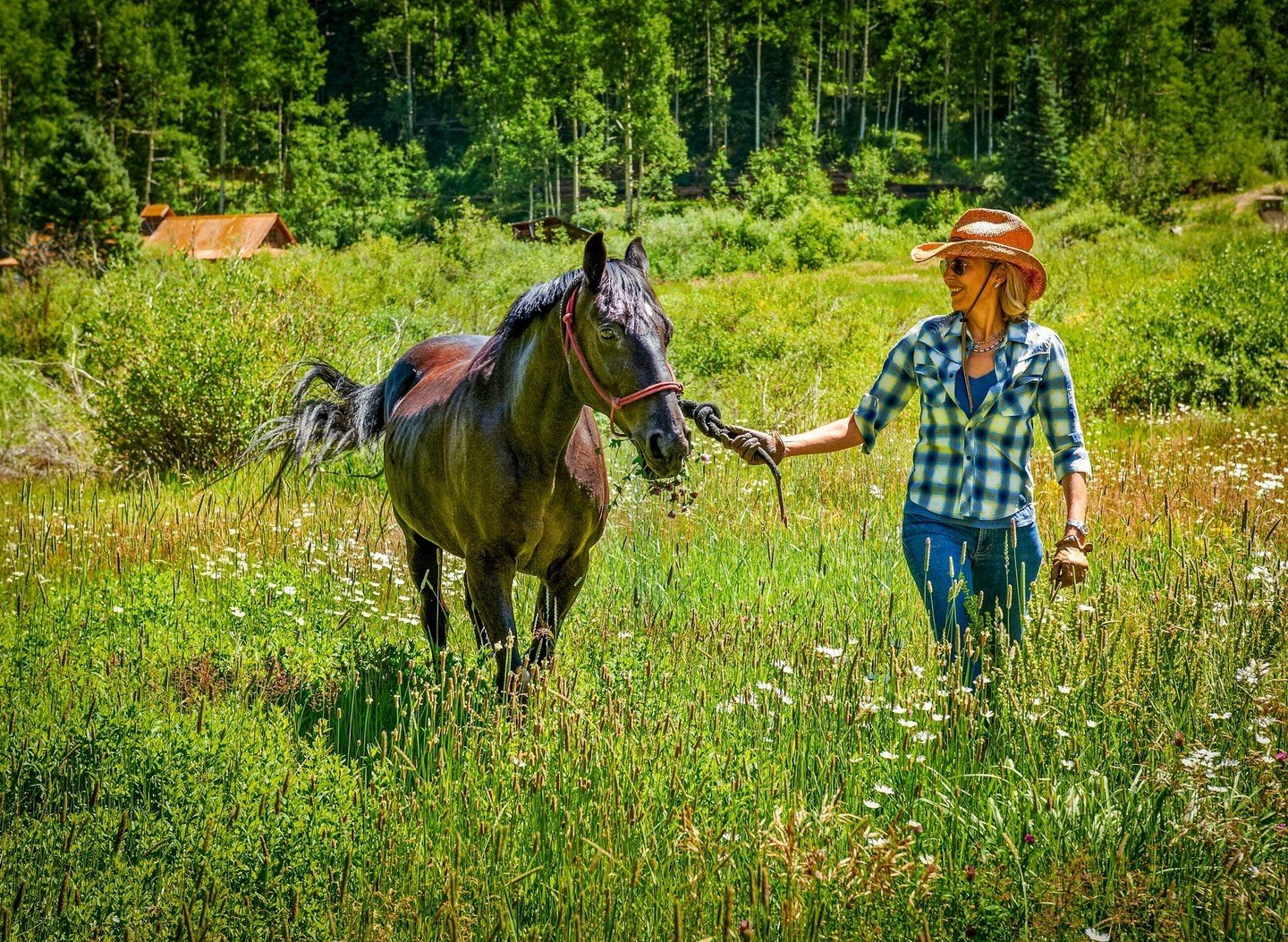 @duntonhotsprings offers a plethora of summertime activities, including exploring the majestic Rockies on horseback. Link in bio. 🐴
