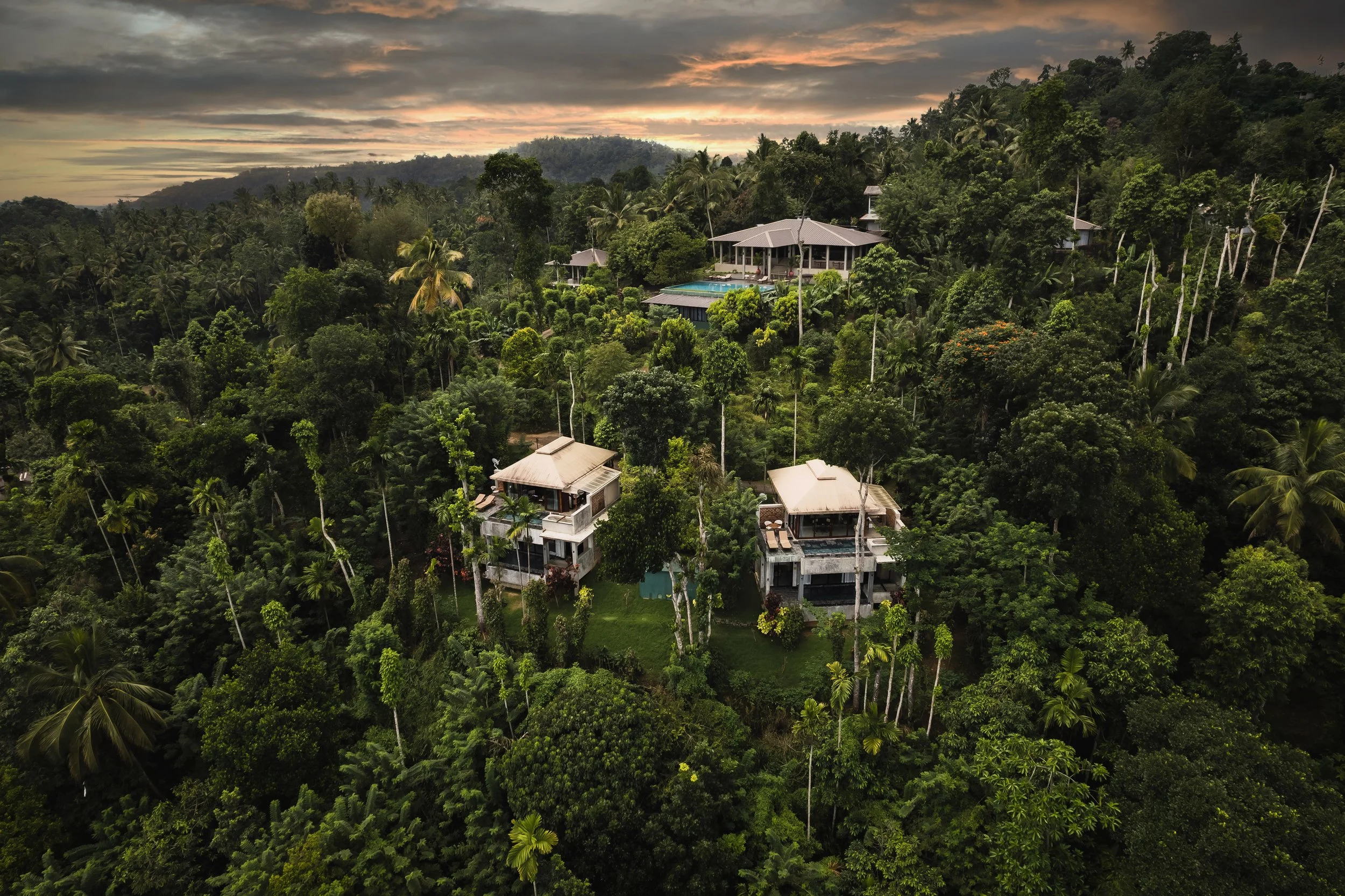 DJI_0372-2reduced.jpg