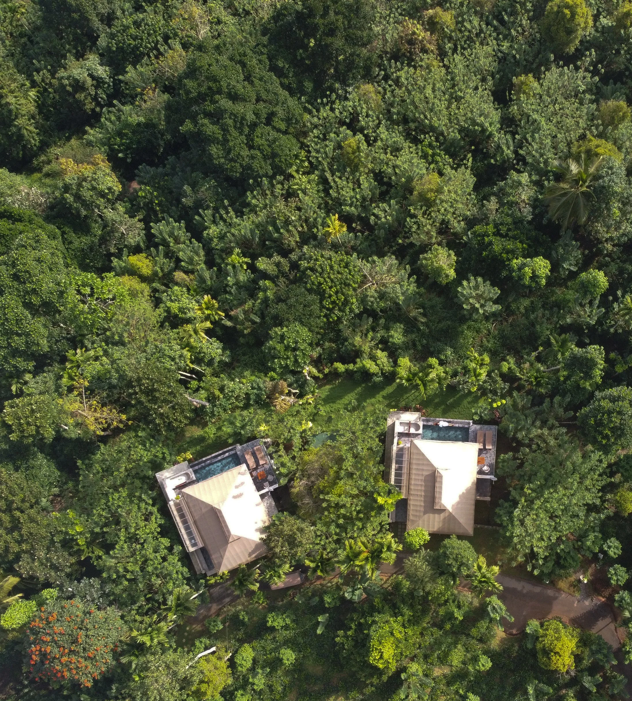 DJI_0311-01.jpg