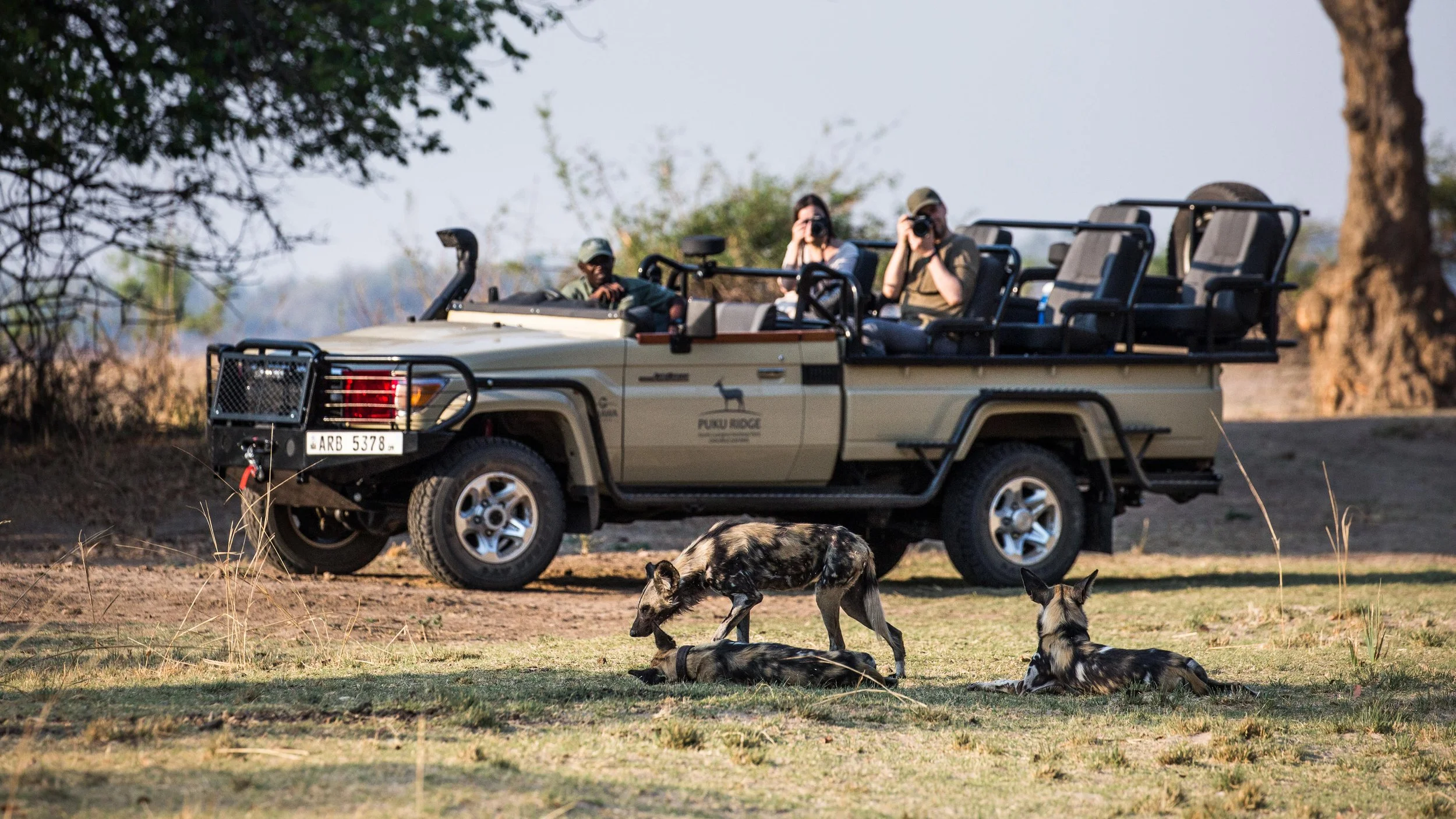 Puku Ridge game drive with wild dogs.jpg