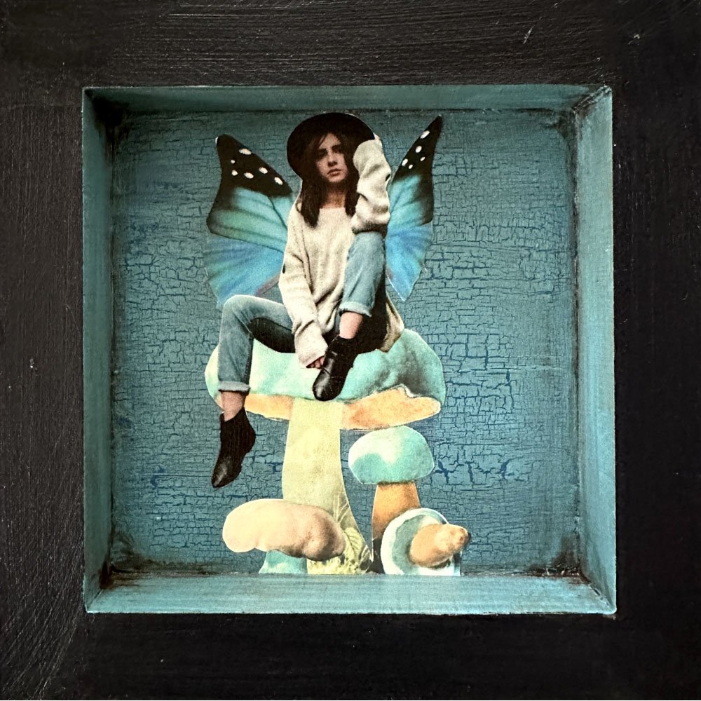 Mushroom Muse A Day in Fairyland