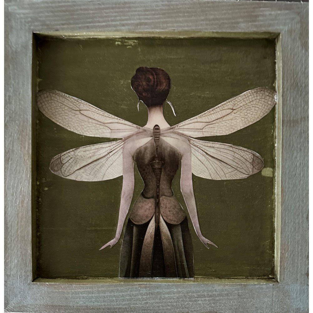 Dragonfly Dreams: The Enchanted Evolution