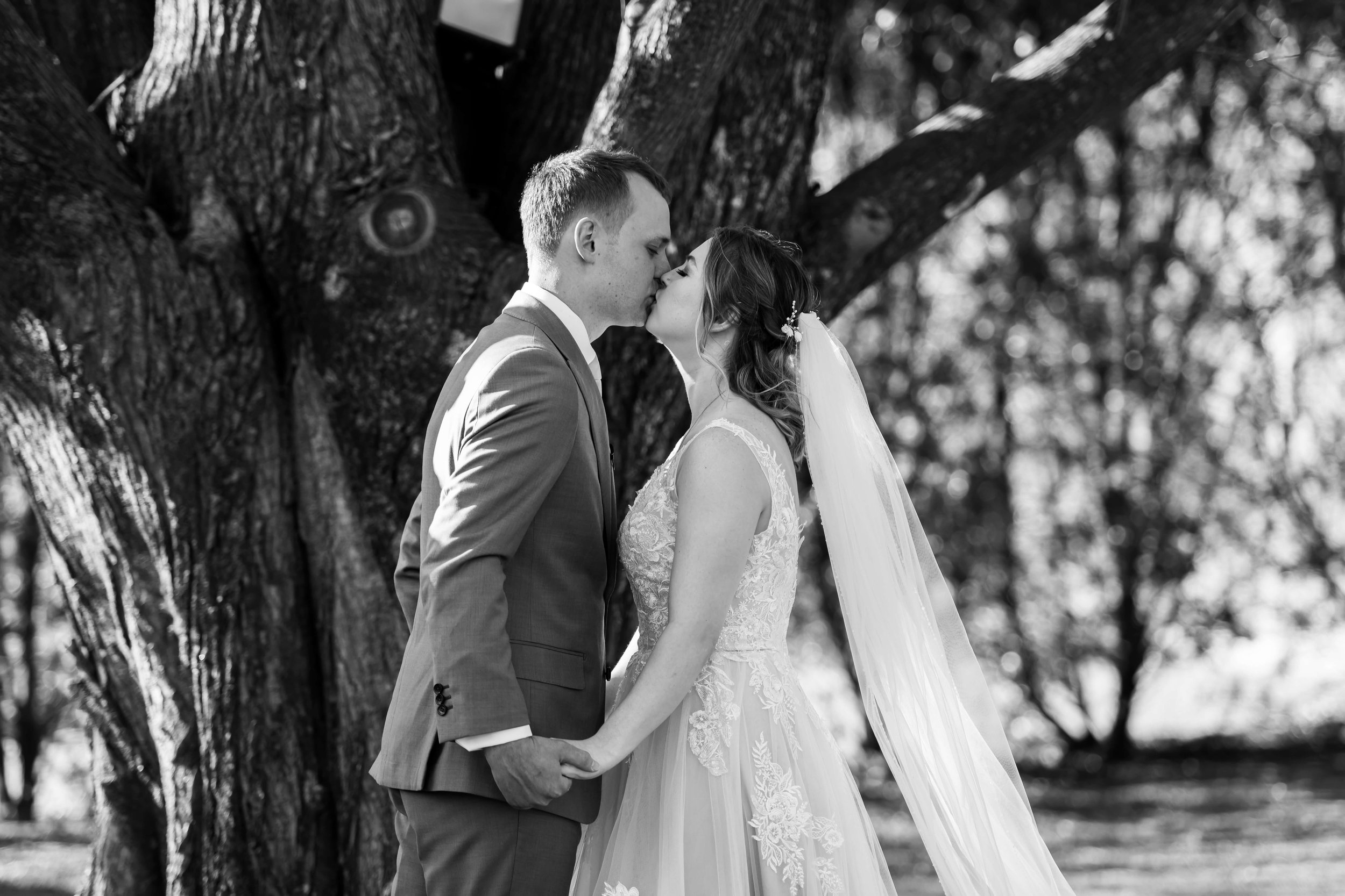 blue ginger photography - canberra weddings - gallery - sian and daniel - 103.jpg