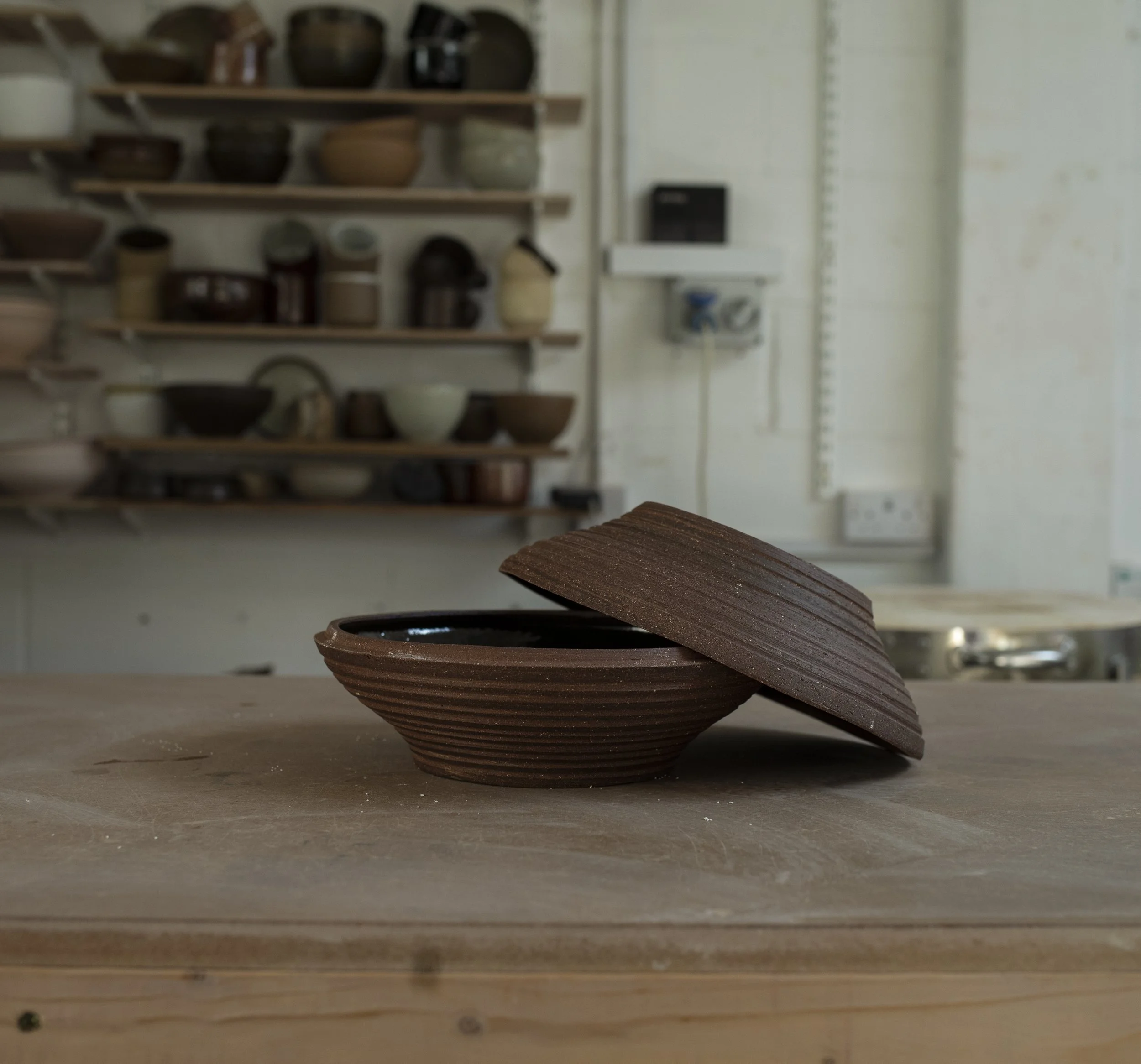 Casserole Dish 5