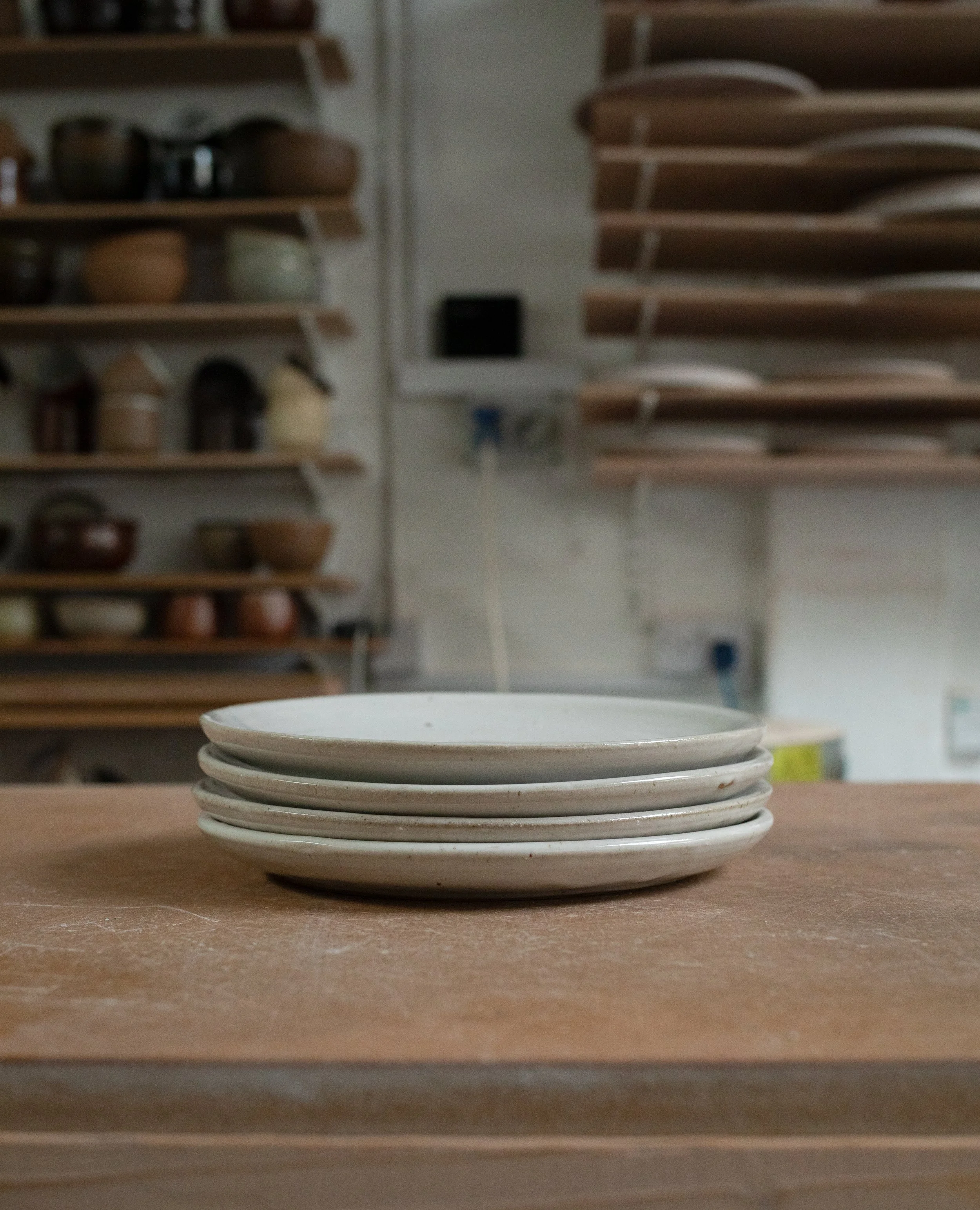 Sample Dishes 25.jpeg