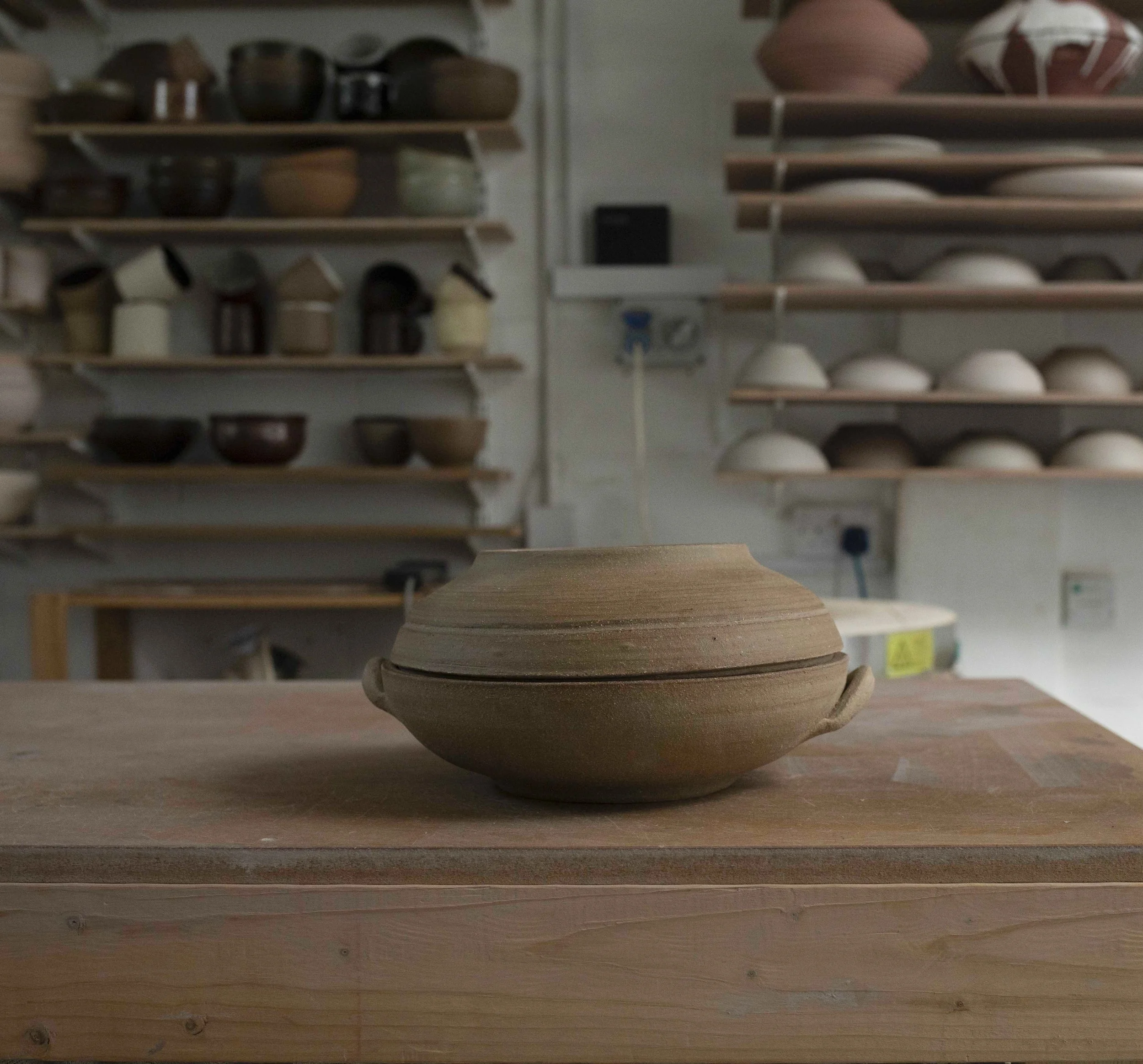 Casserole Dish 3