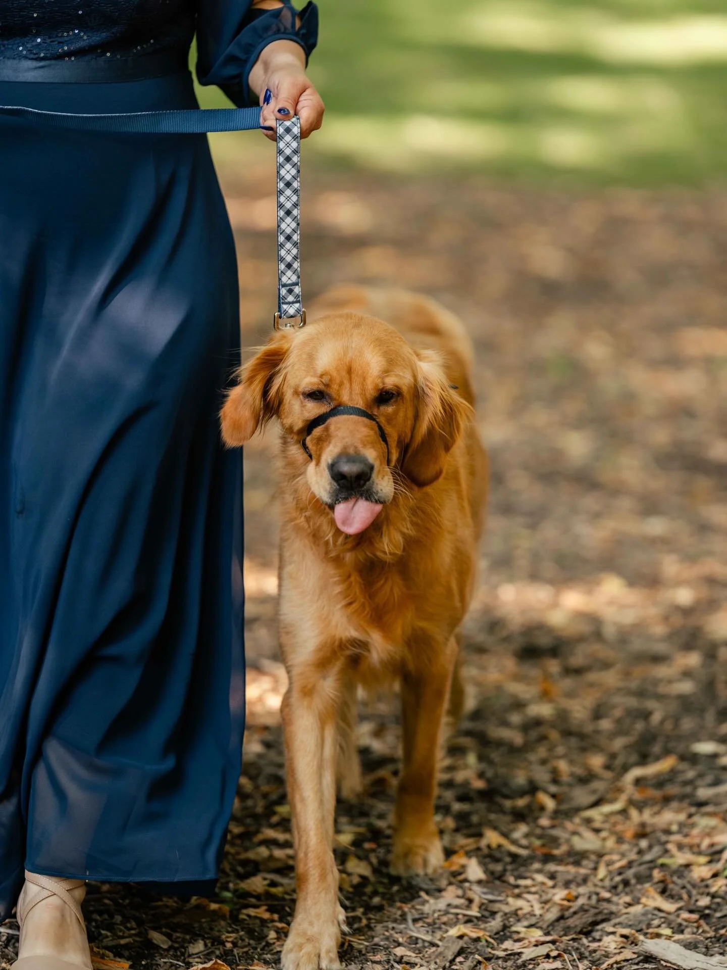 How do we feel about dogs at your wedding?

Yes. Always yes.

But like everything else - it should feel intentional, not chaotic.

Because while they&rsquo;re part of your day, they still need a plan.

Who&rsquo;s walking them down the aisle.
Where t