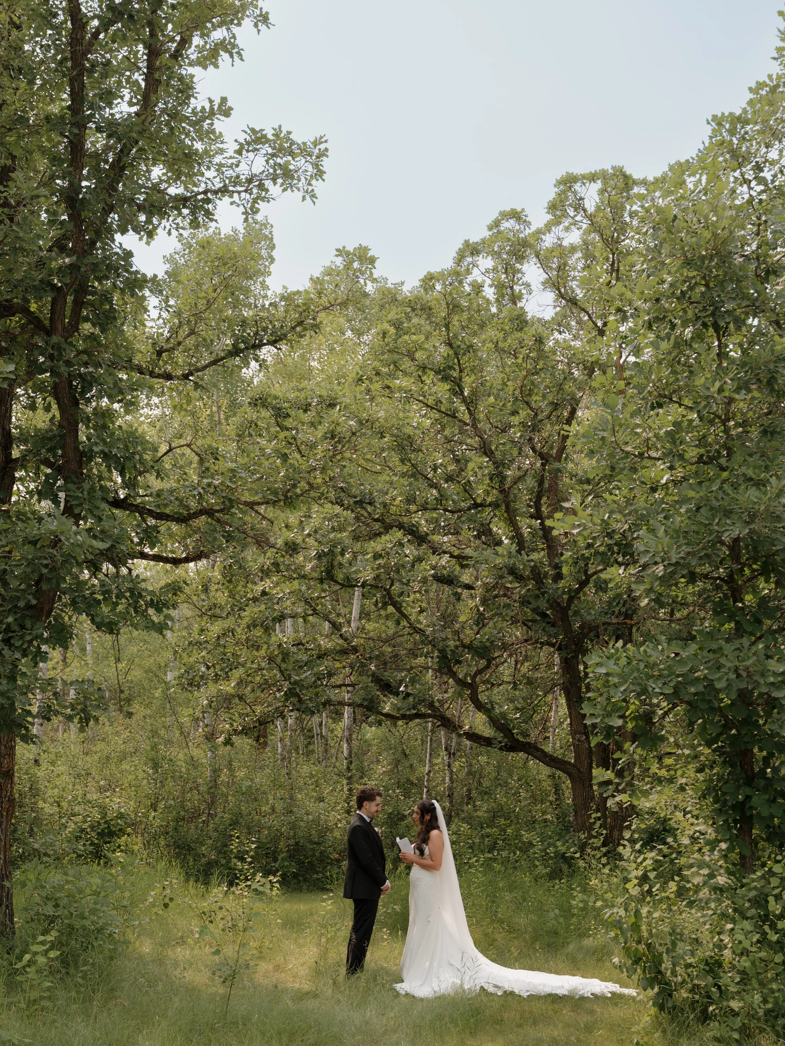 Finally sharing some photos from this perfect summer wedding. 🌸

Lauren and Codey&rsquo;s day was full of colour, beautiful florals, thoughtful little details, and the prettiest summer setting. From the reception tables to the ceremony tucked into t