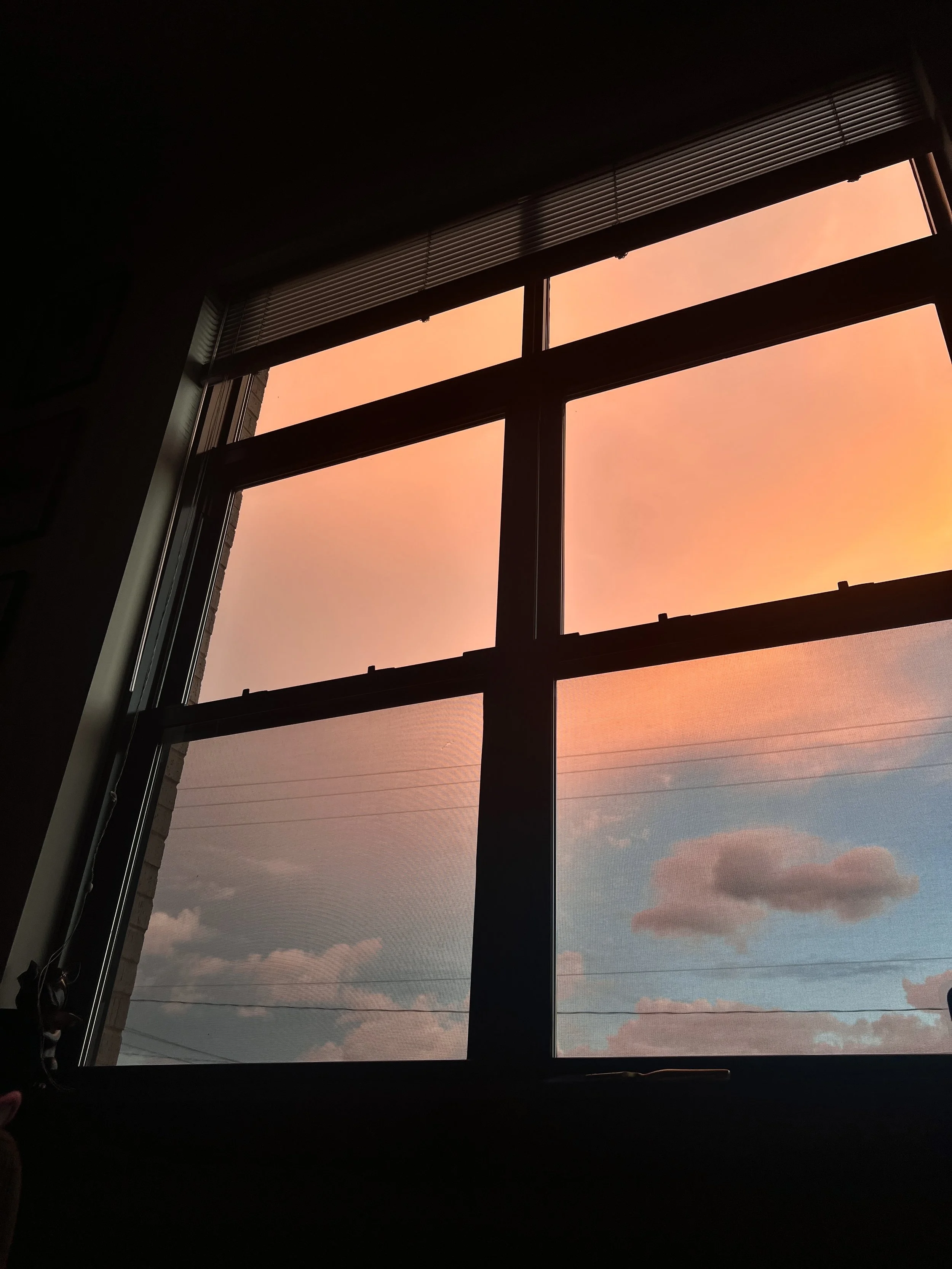 Budding Beginnings: the Branch &amp; Blossom of Surrendering