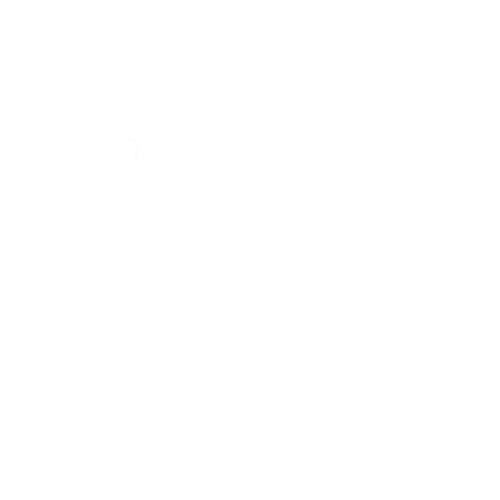 Rowan Ching Healing Arts