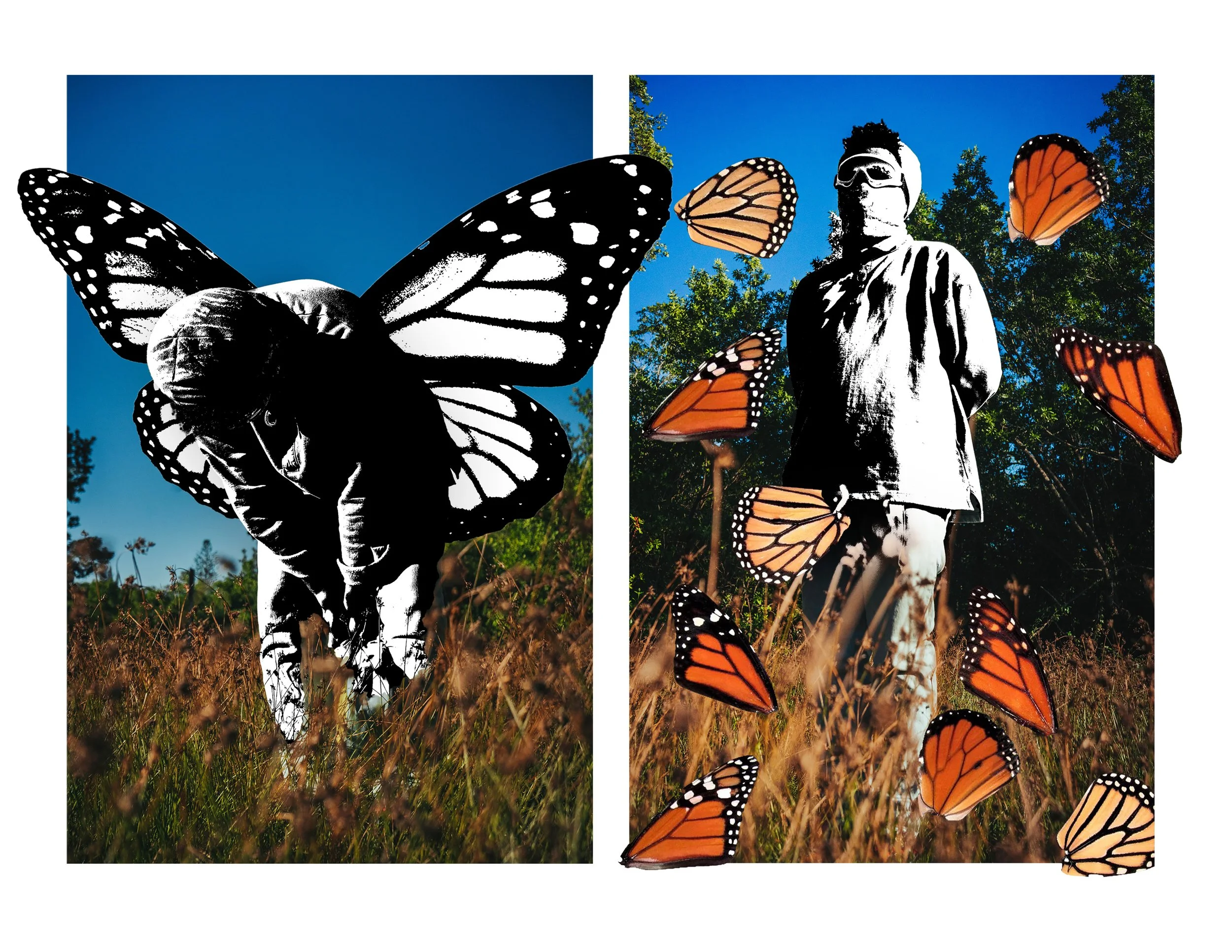 Wings on my Back.jpg