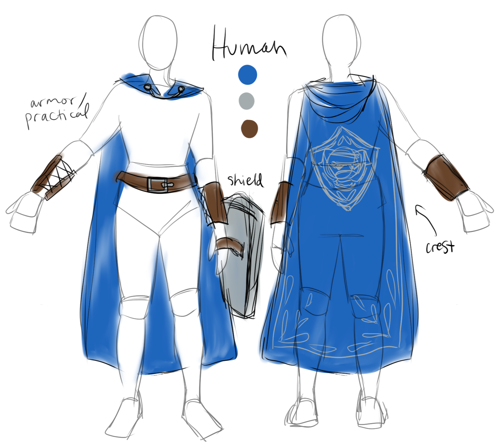 example of a blue team (human knight) outfit