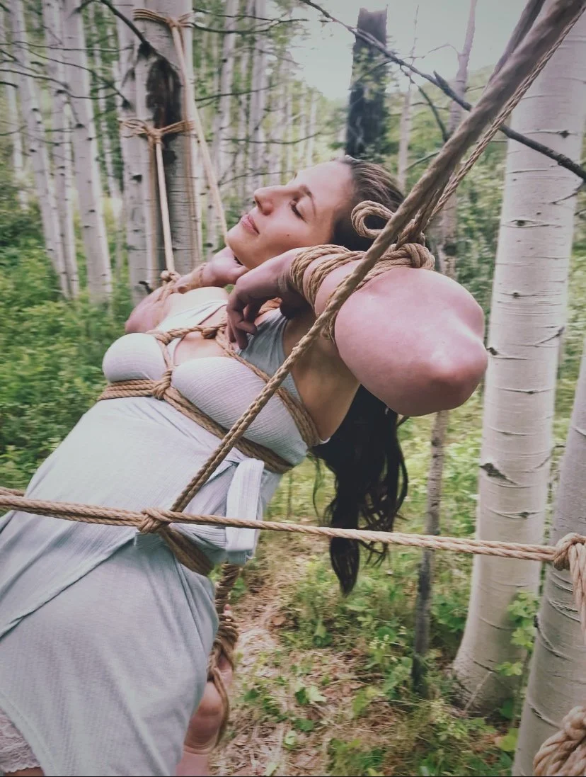 Tied between Aspens 