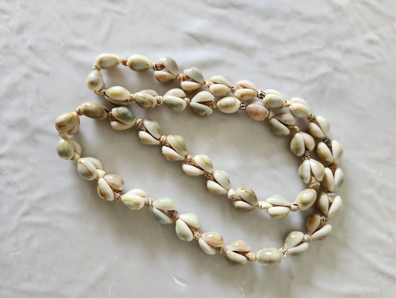 Cowrie Necklace 1.jpg