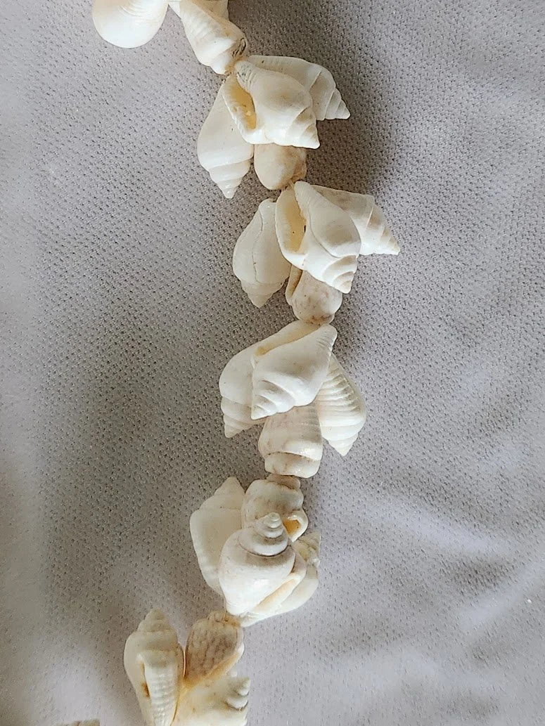 Shell Necklace 3.jpg