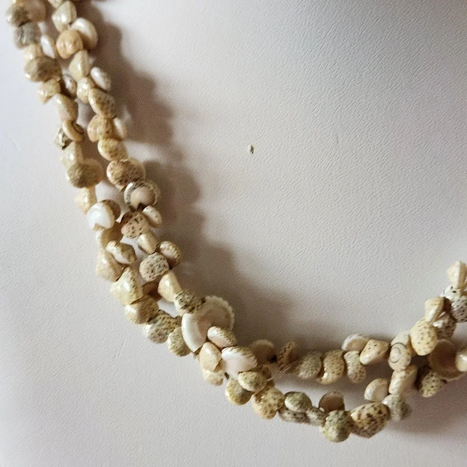 Snail Shell Lei 9.jpg