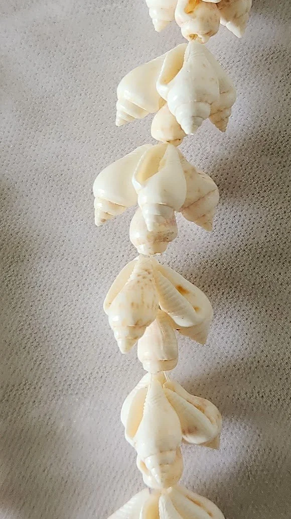 Shell Necklace 7.jpg