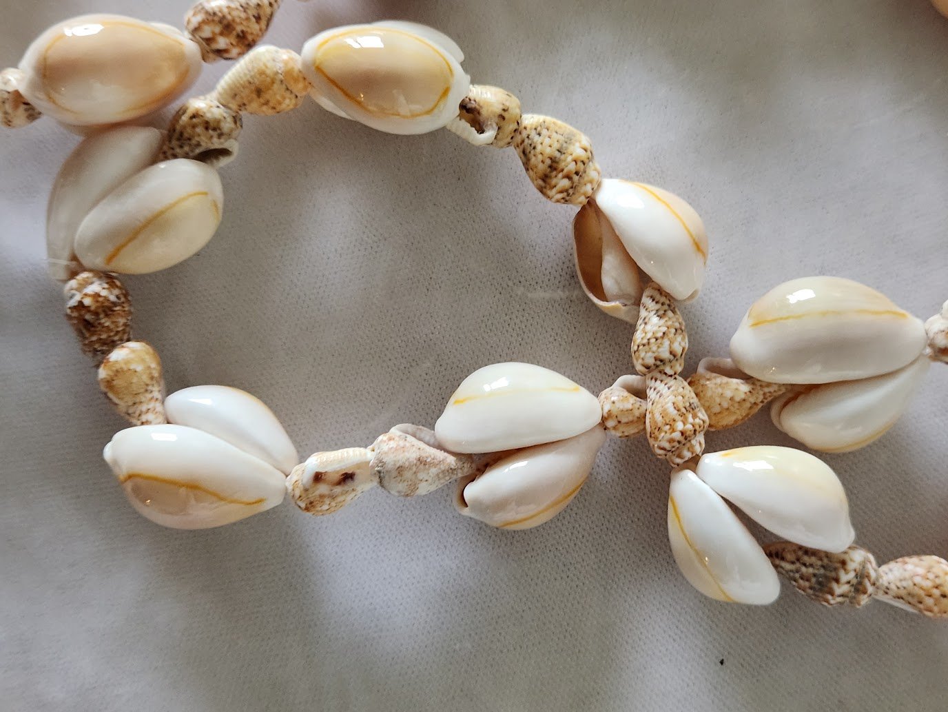 Double Cowrie Lei Necklace 2.jpg