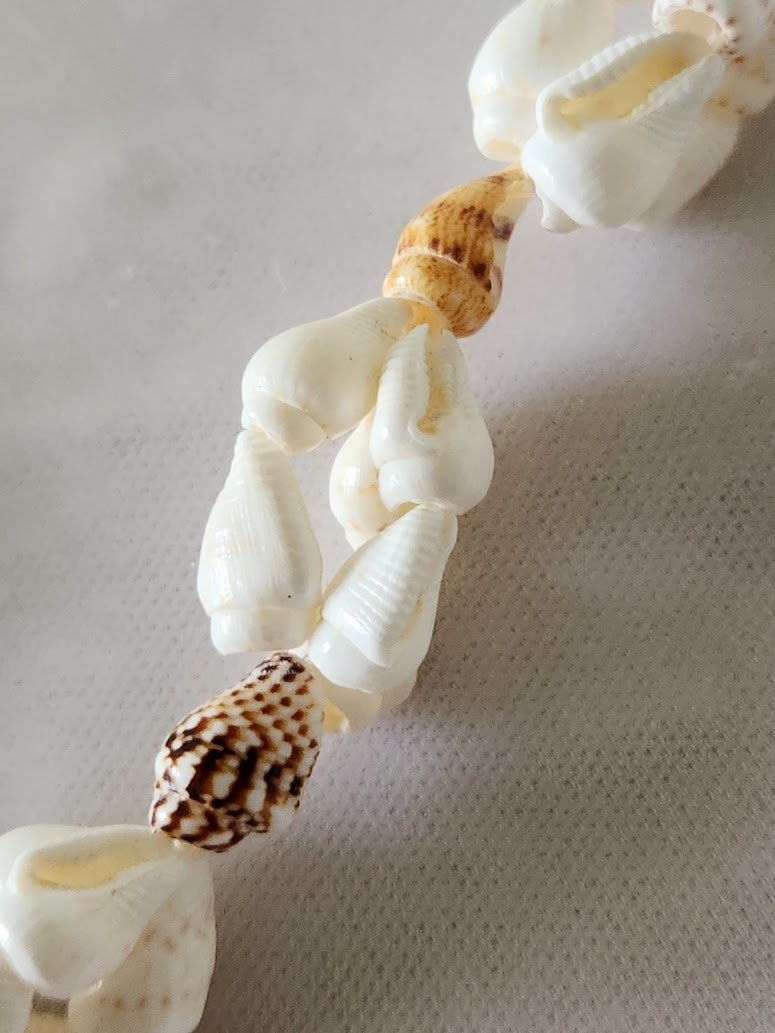 Braided Shell Necklace 4.jpg