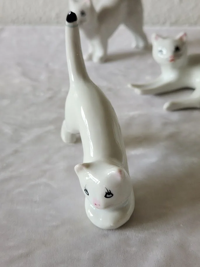 three cats 6.jpg