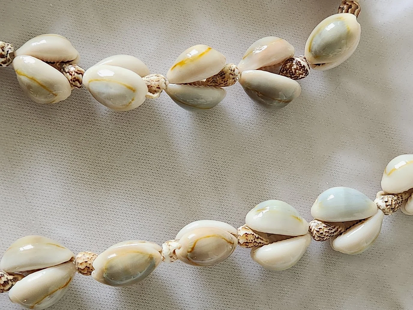 Cowrie Necklace 3.jpg