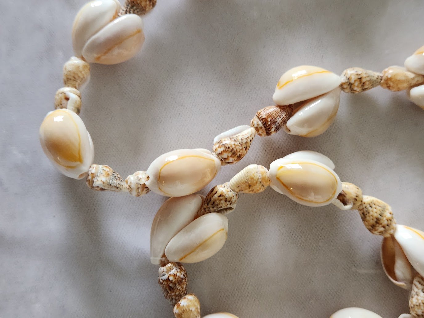 Double Cowrie Lei Necklace 3.jpg
