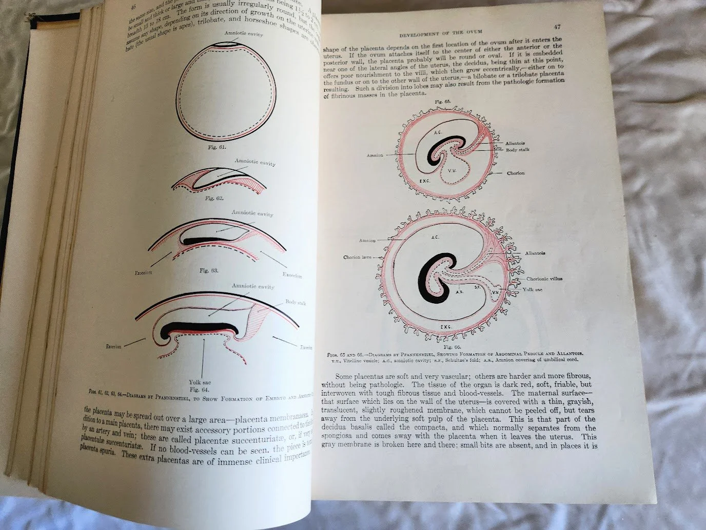 DeLee Principles & Practice of Obstetrics 8.jpg
