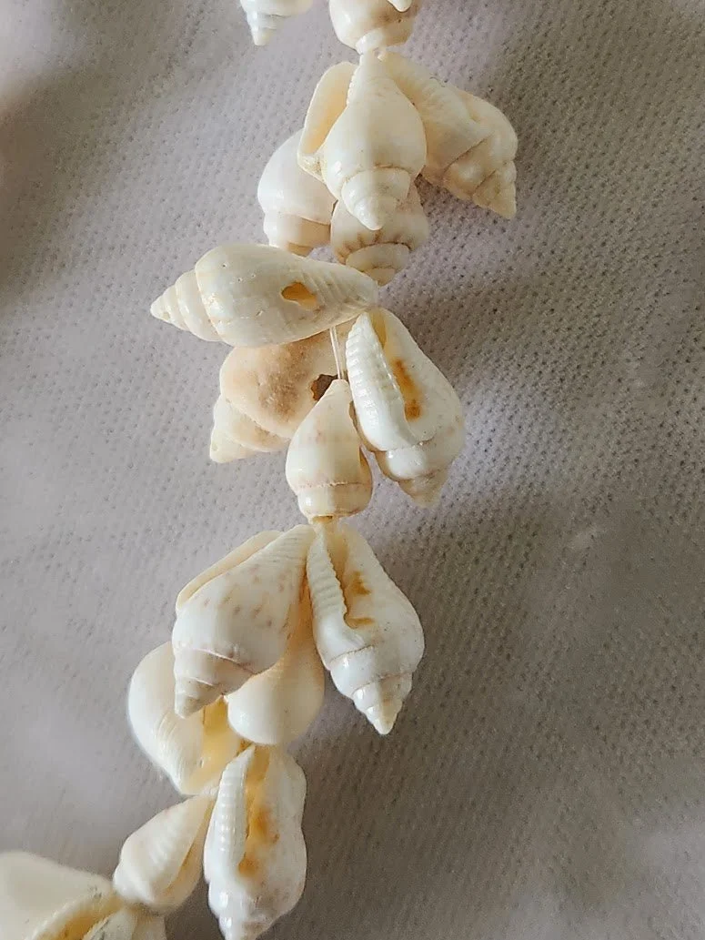 Shell Necklace 8.jpg