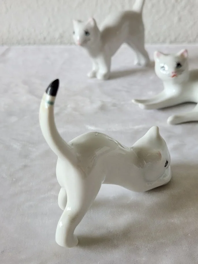 Three Cats 3.jpg
