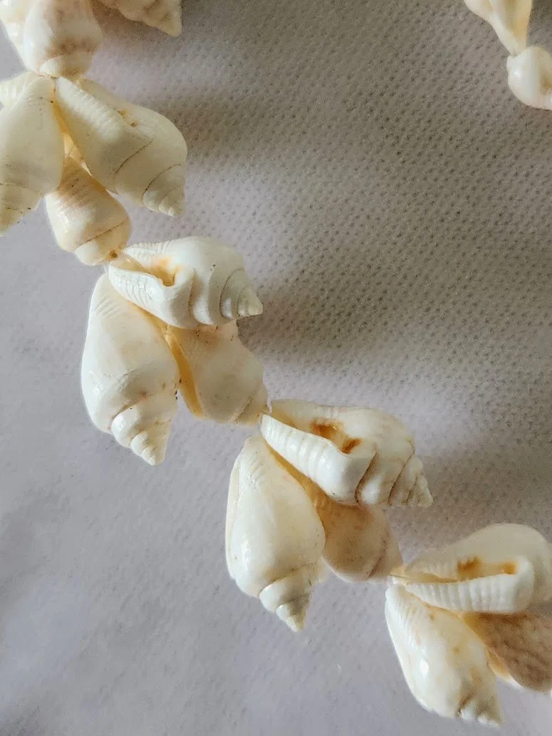 Shell Necklace 4.jpg
