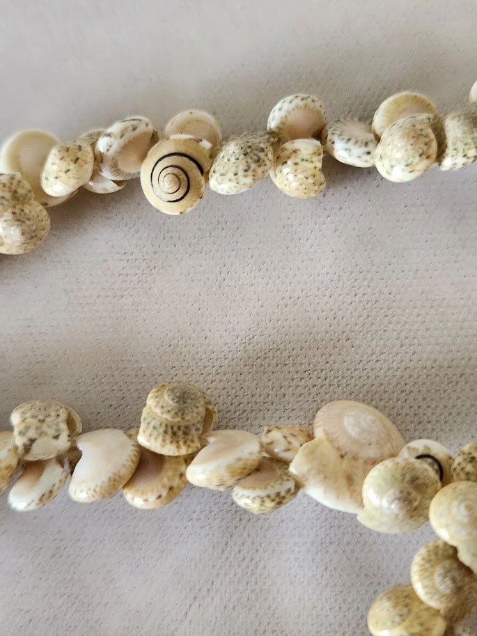 Snail Shell Lei 1.jpg