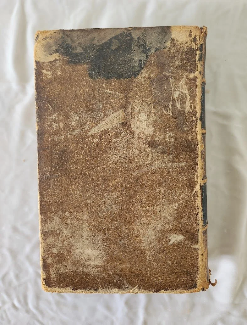 Woods Therapeutics Pharmacology 4.jpg