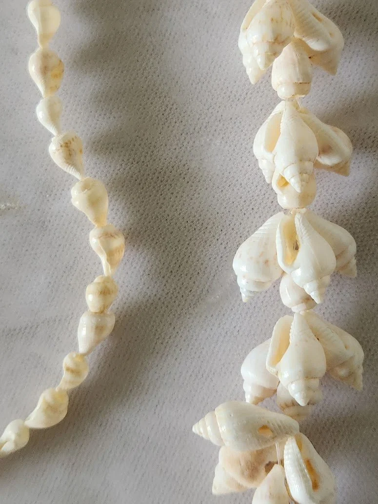 Shell Necklace 6.jpg