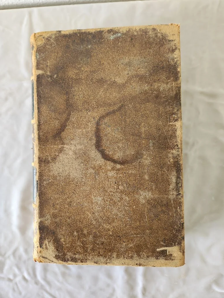 Woods Therapeutics Pharmacology 3.jpg