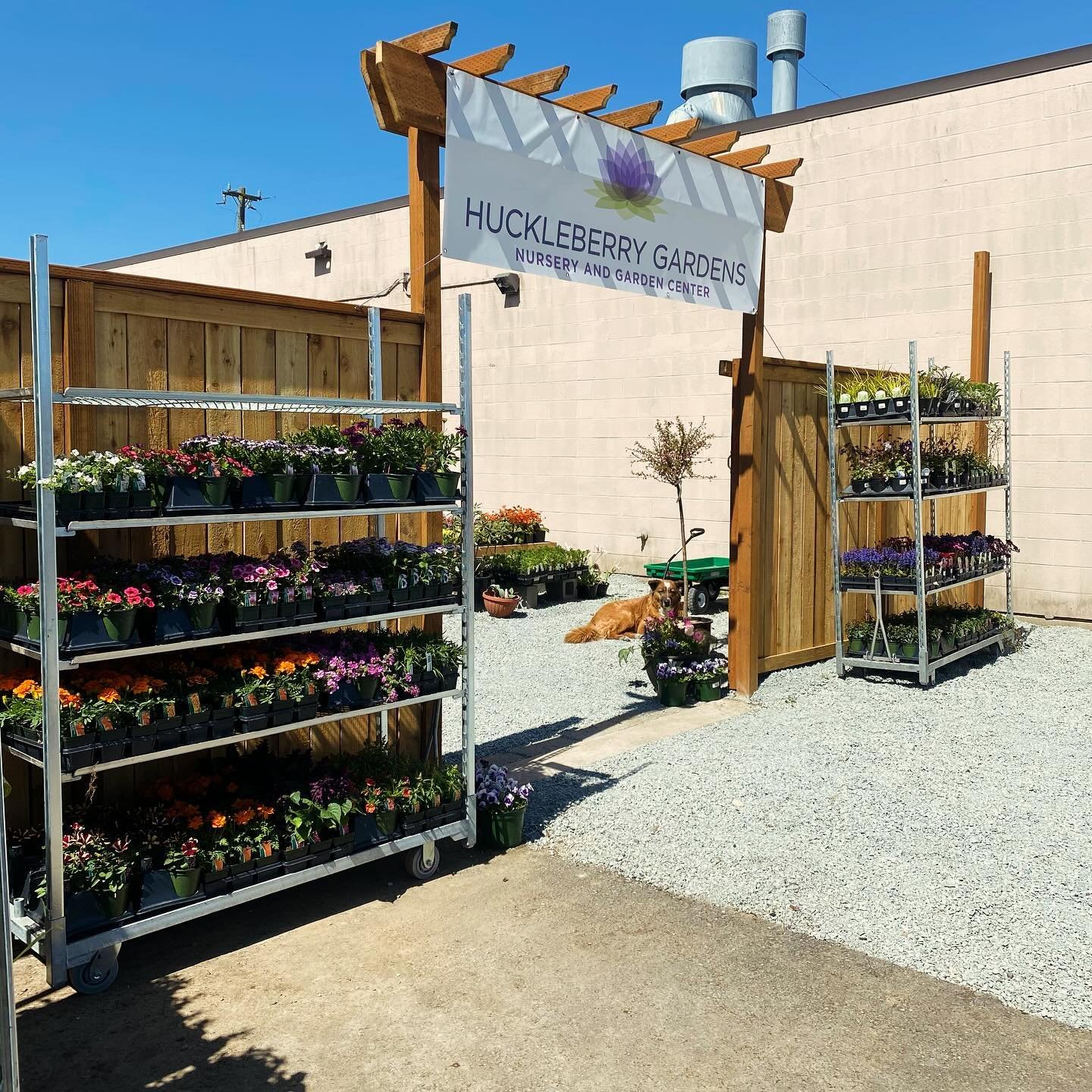Wow.  We are fully open, selling lots of plants, and thrilled to be here meeting the local community. We&rsquo;re posting  before and after photos, looking back on what we&rsquo;ve accomplished already. We are going to have a big party to celebrate M