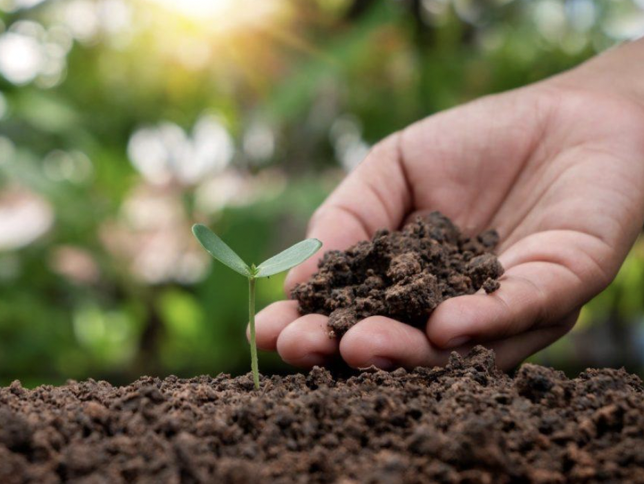 Screenshot 2026-04-11 at 1.14.10 PM.png