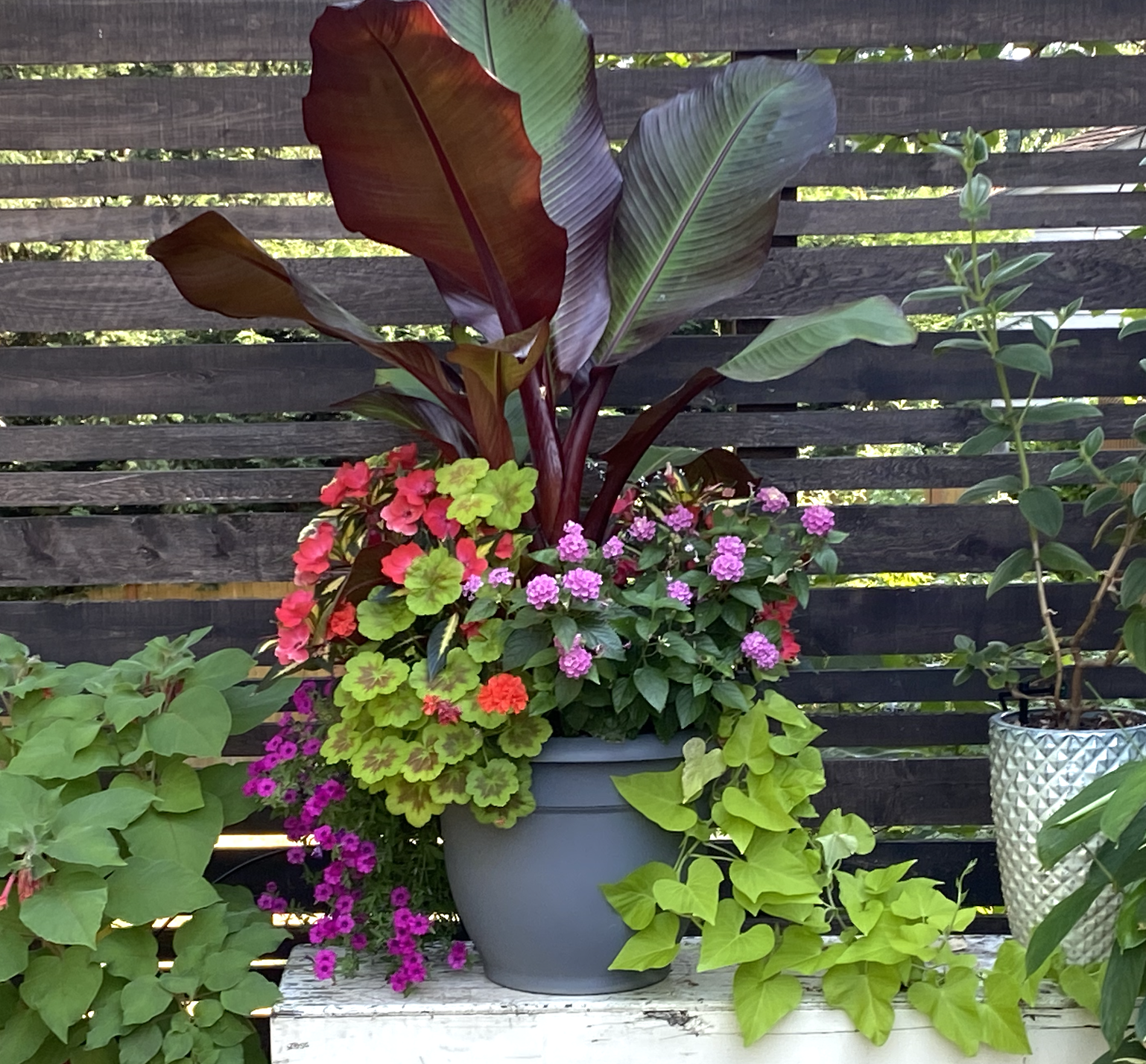 Spring Container Gardening - TBA