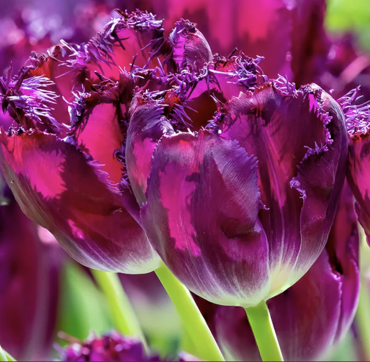 Screenshot 2024-10-01 at 9.22.41 AM.png