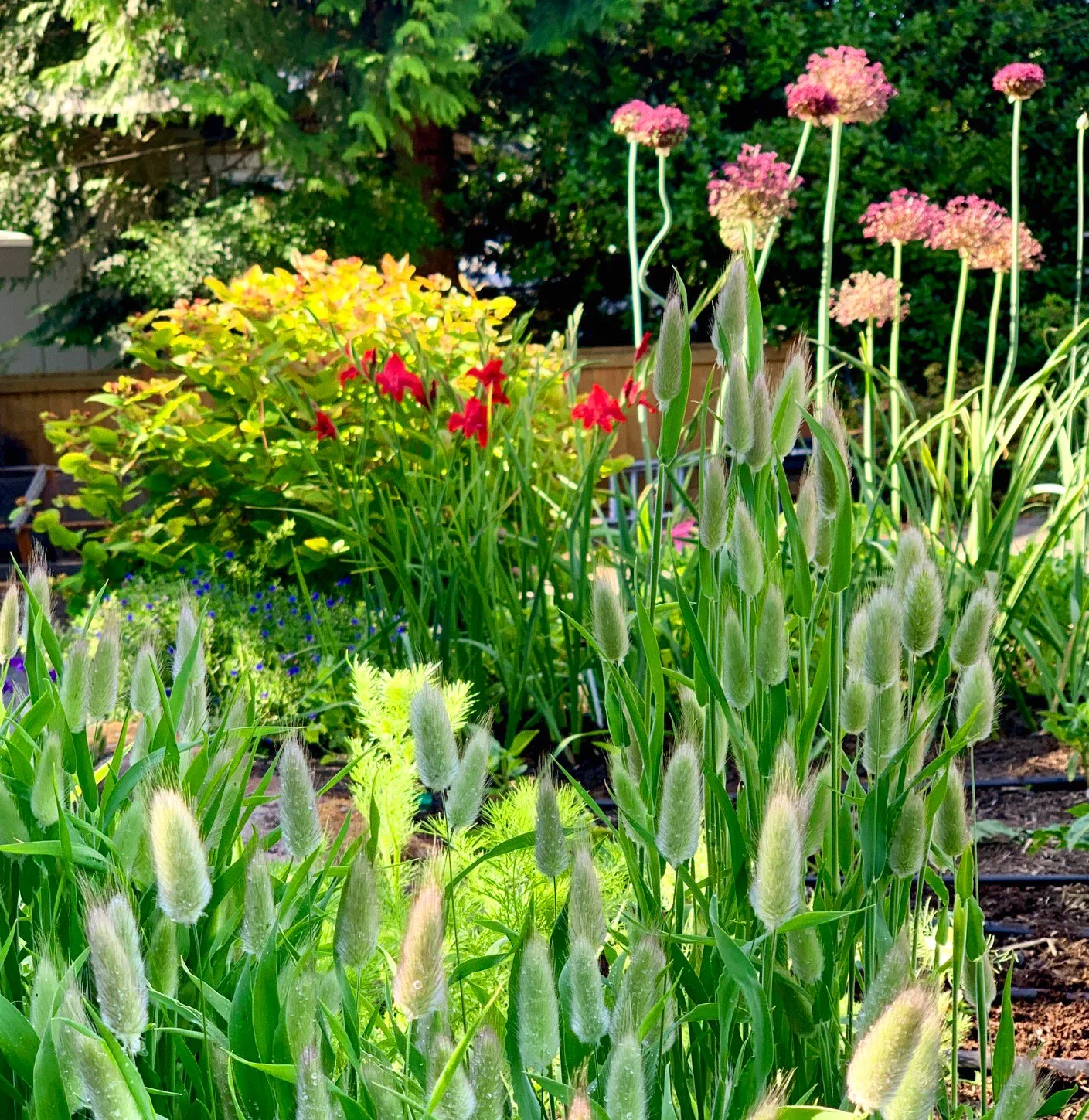 Sustainable Gardening: A Better Way to Beautiful Presenter:  Peggy Campbell - Saturday, April 18th @9am