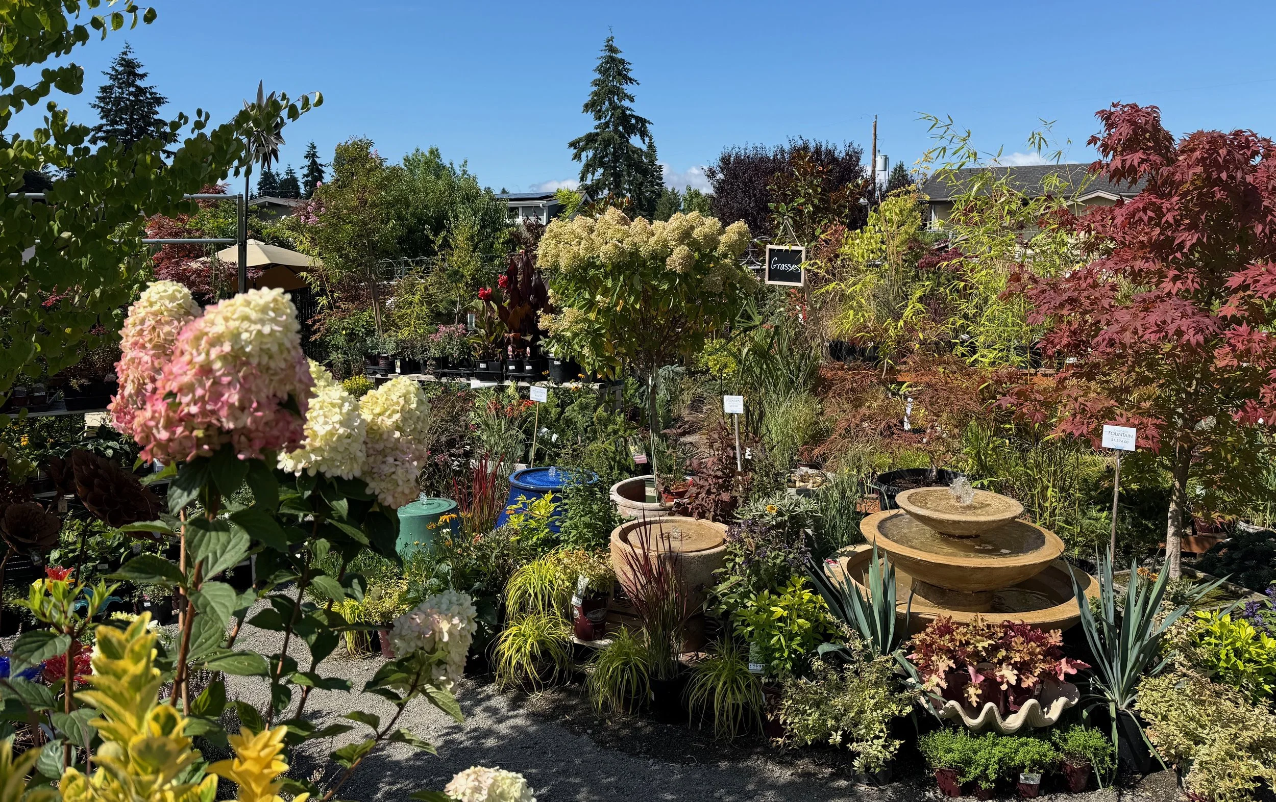 SUMMER GARDEN PARTY, Friday, August 28th 4pm-7pm