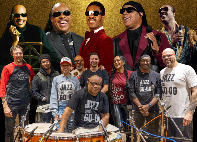 The JoGo Project Celebrates Stevie Wonder