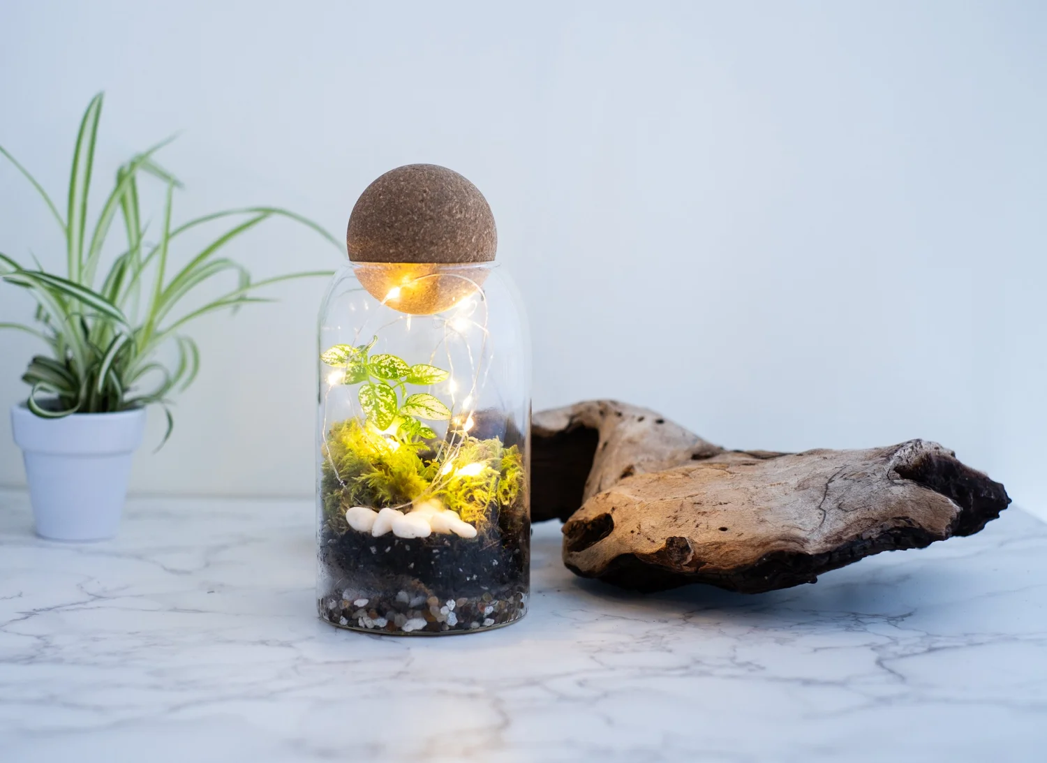 Standard Terrarium Kit  Create Mix & Mingle