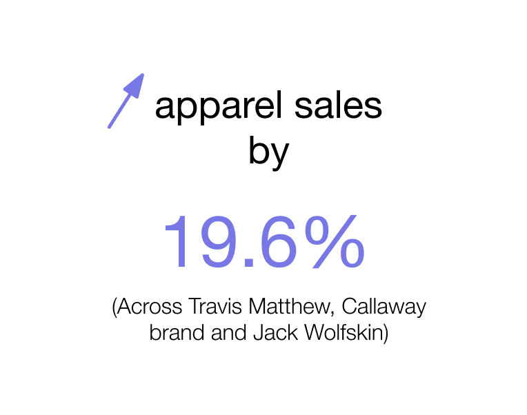 A pie chart showing a segment labeled 19.6% and an arrow pointing to the segment.