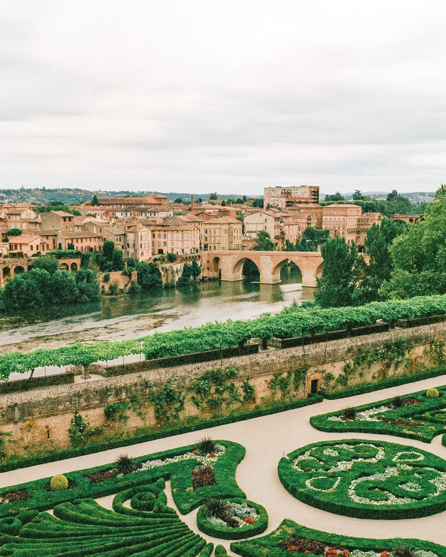 The palace gardens at Albi over the river Tarn; the gentle cows in Andorra, lowing and tinkling their bells; the mighty swifts of Toulouse, flashing chevron wings in between thin strips of sky; the narrow cobblestone streets of Cordes-sur-Ciel with t