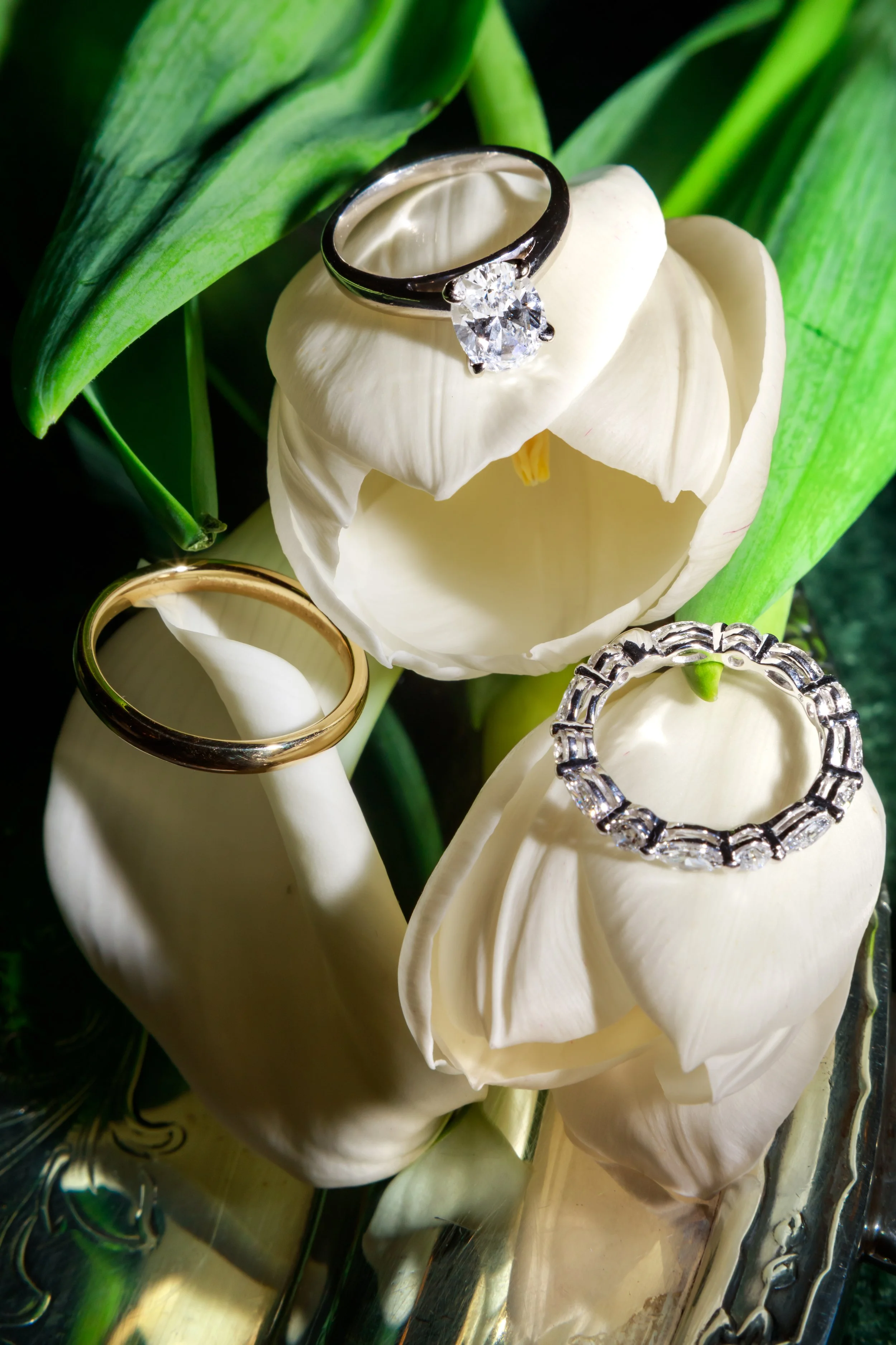 siv-alec-favorites-0003.jpg