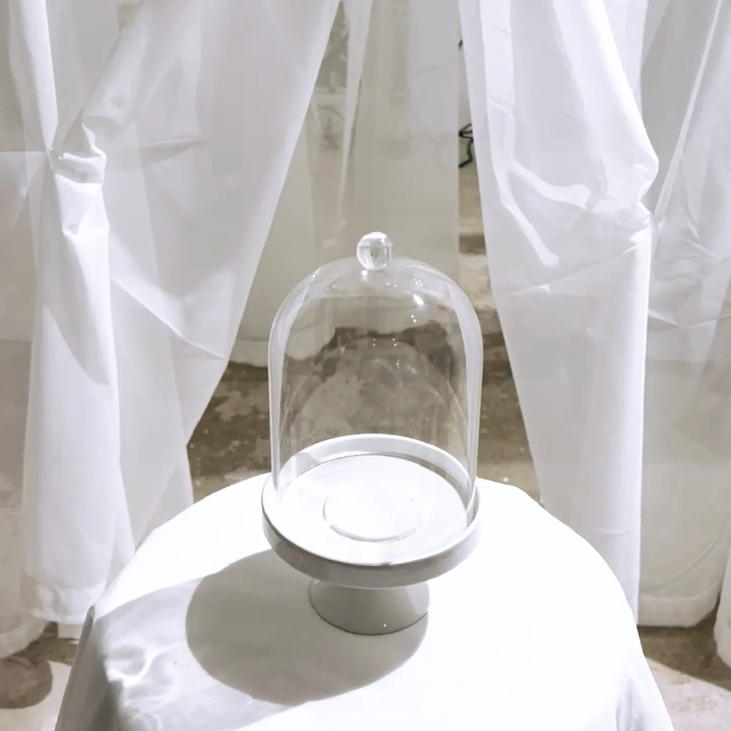 Jan 22 - Scented Absence and The Illusion of Dichotomy